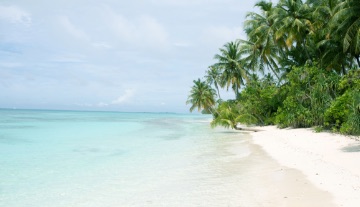 Strand, Meer und Palmen